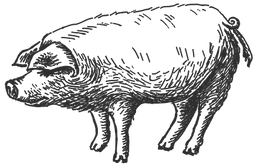 Babineaux Creole Cajun Seasonings